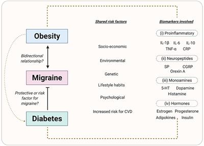 Metabolic Aspects of Migraine: Association With Obesity and Diabetes Mellitus